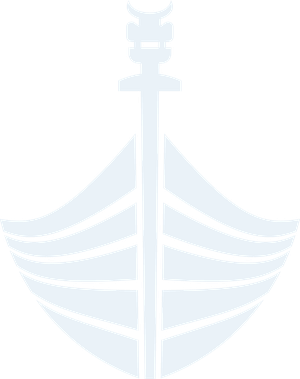 AgileViking